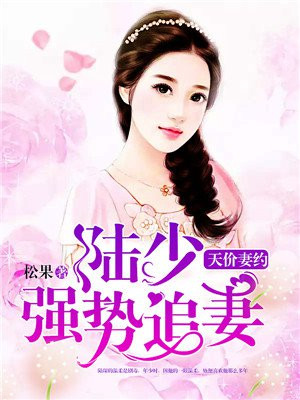 天价婚宠陆少暖婚甜妻