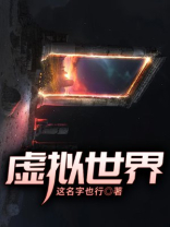 虚拟世界是什么意思