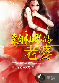 我的老婆来自仙界大结局