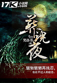 葬魂夜小说TXT免费下载