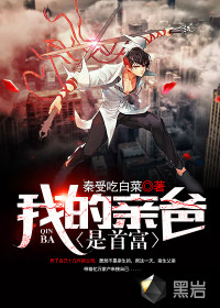 我的亲爸是首富 小说