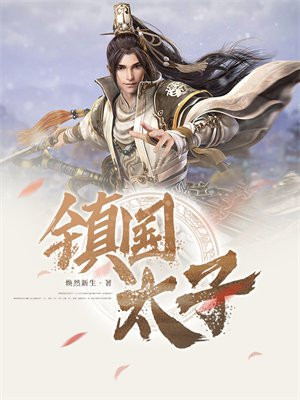 镇国太子小说