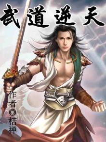 武道逆天李元免费阅读