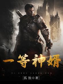 一等佳婿小说
