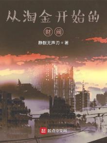 主角一开始是淘金的小说