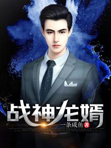 战神龙婿奶爸林凡