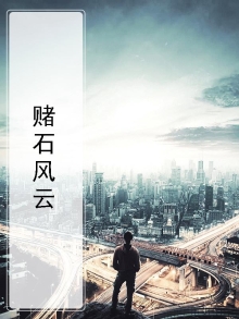 赌石风云杨杰小说