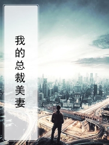 我的美总裁老婆,作者流浪
