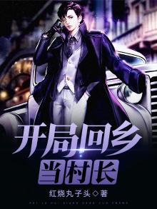 开局回乡当村长 红烧丸子头