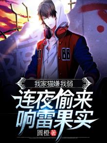 我家猫烦我