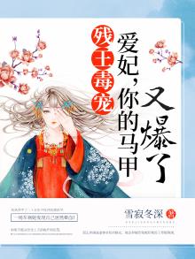 残王独宠爱妃你的马甲又爆了甲