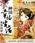 种田之幸福农家女小说