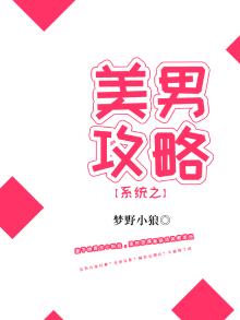 美男系统攻略计划 小说