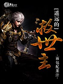 遥远的救世主正版原著