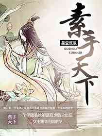 素手摄天下