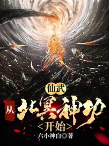 仙武从北冥神功开始小说