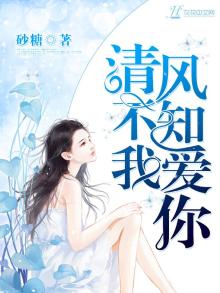 清风不知我爱你小说免费阅读