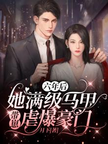 六年后她携子归来什么小说