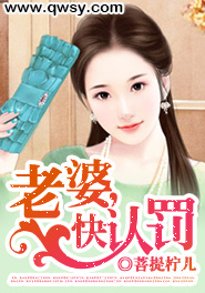老婆你快回来小说全文