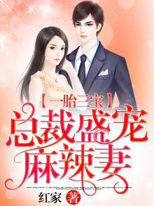 一胎三宝总裁盛宠麻辣妻