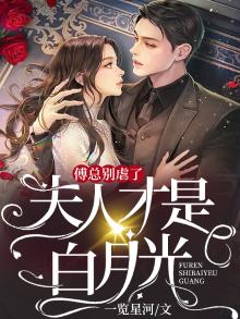 傅总,夫人又在闹离婚
