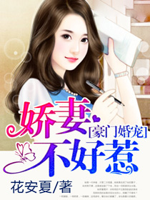 豪门婚宠:娇妻不好惹小说