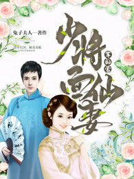 小说少将