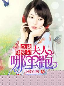 小说总裁夫人哪里逃