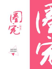 圈宠小说