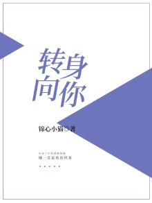 你转身我向前什么歌