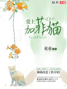 爱上加菲猫TXT下载