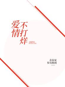 爱情不打烊电视剧剧情介绍