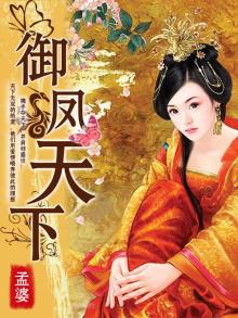 御凤小说