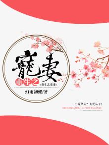 重生之宠妻gl萧晚