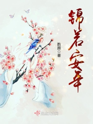 锦若安年讲的什么故事