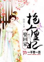 抢来的妃子的小说