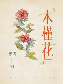 木槿花图片
