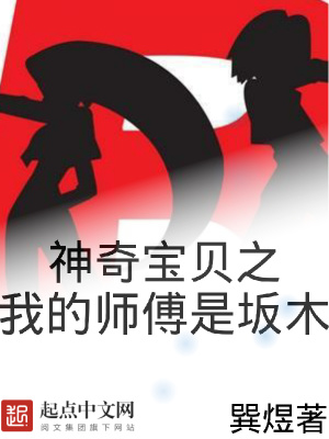 神奇宝贝之我为大师 小说