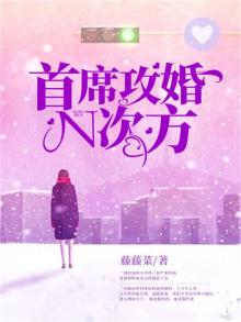 首席老公求名份,恋爱成灾
