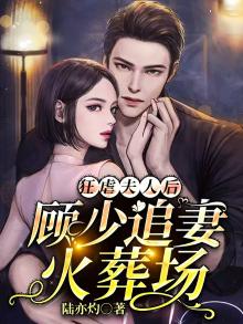 狂虐夫人后,顾少追妻火葬场 小说