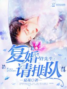 许先生复婚请排队结局