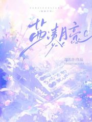 盐渍月亮小说