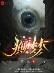 癫梦小说