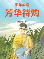 那年芳华演出
