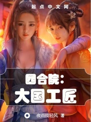 四合院大国工匠TXT下载