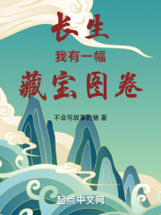 我有一张藏宝图小说
