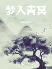 大梦长生体小说