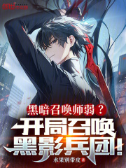 召唤黑影兵团开始 小说