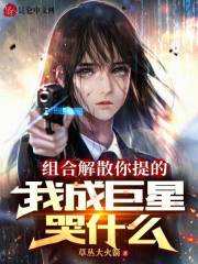 组合解散后我爆红了