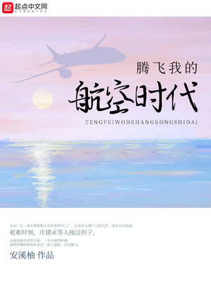 庄建业 腾飞我的航空时代